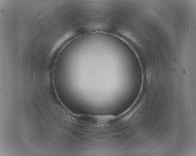 X0000070431309200606231908