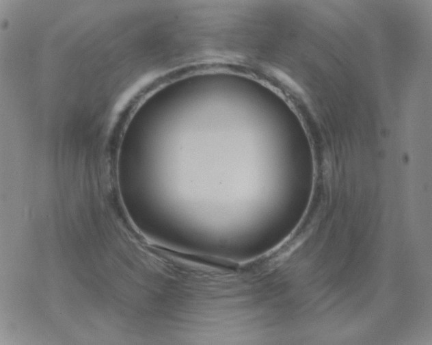 X0000070431310200606231908