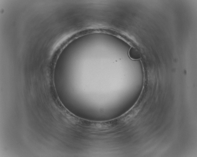 X0000070431311200606231908