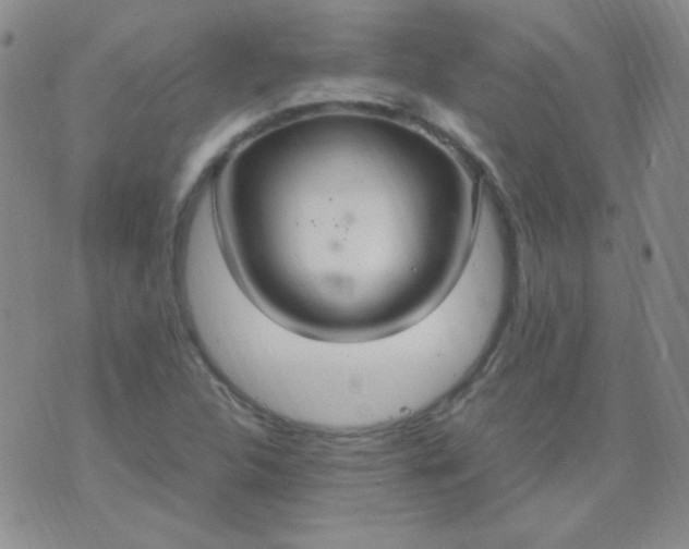 X0000070431312200606231908