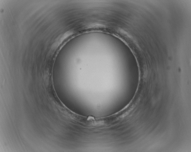 X0000070431313200606231908