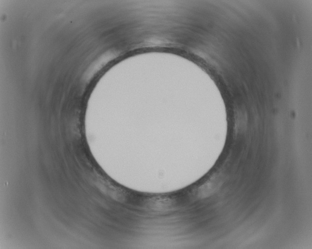 X0000070431314200606231908