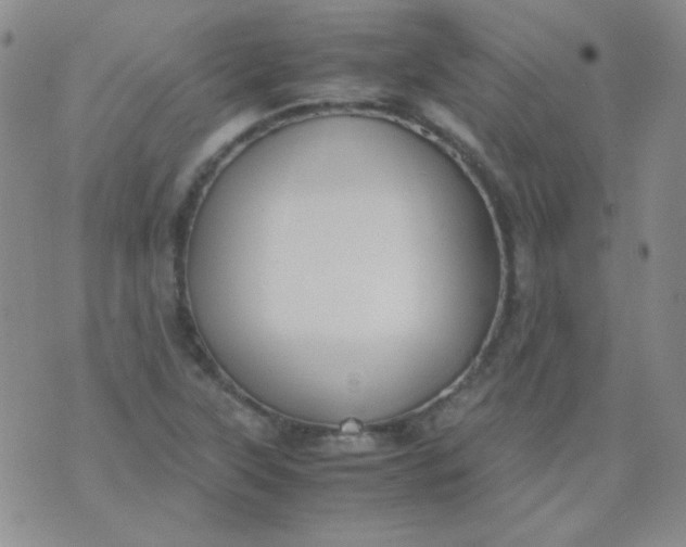 X0000070431315200606231908