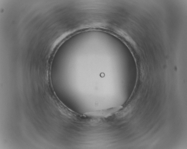 X0000070431316200606231908