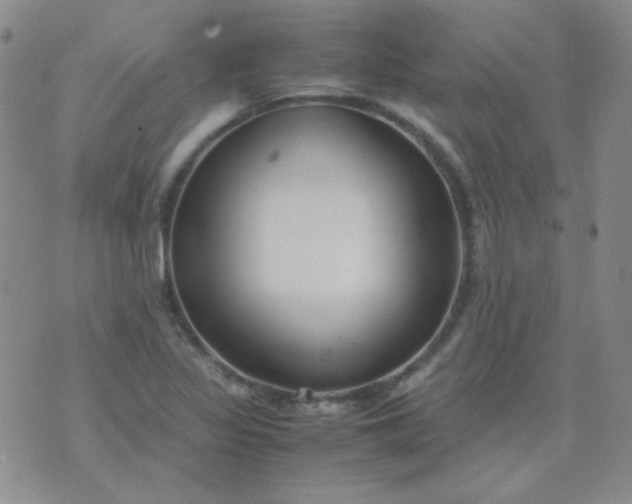 X0000070431317200606231908