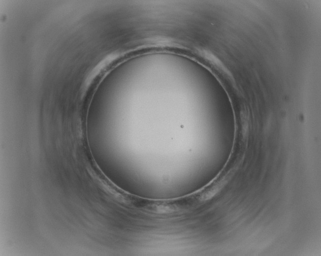 X0000070431318200606231908