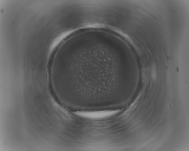 X0000070431319200606231908