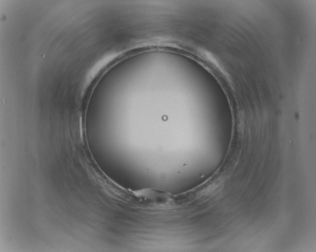 X0000070431320200606231908