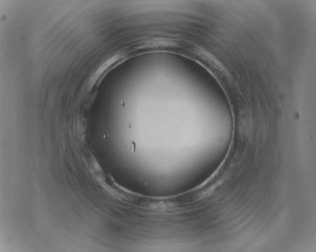 X0000070431321200606231908