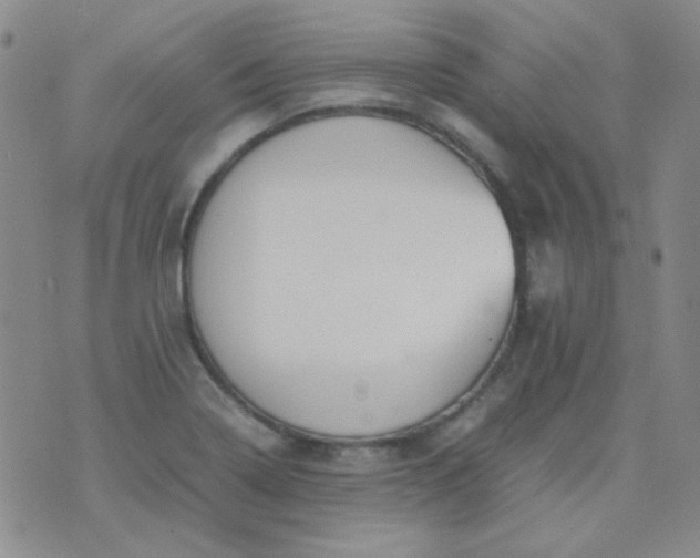 X0000070431322200606231908