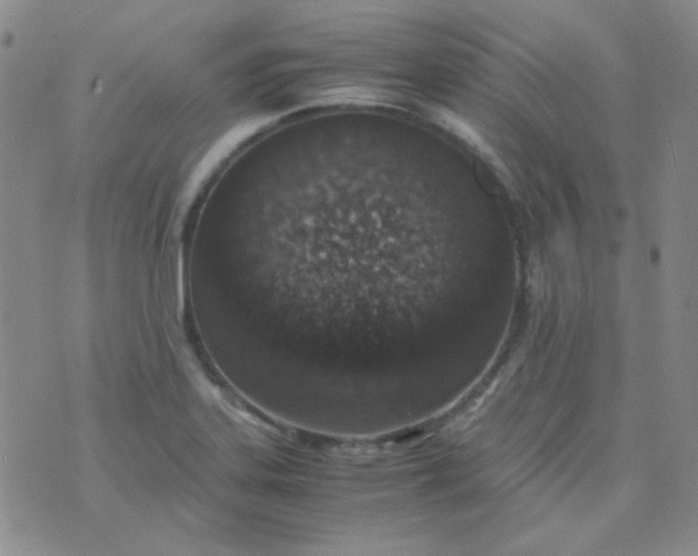 X0000070431323200606231908