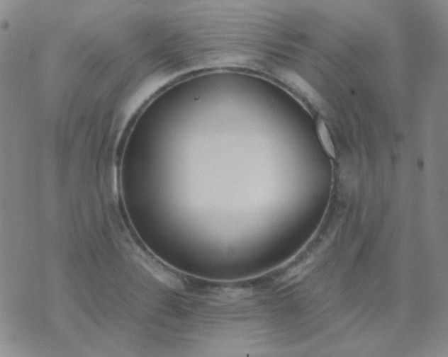 X0000070431324200606231908