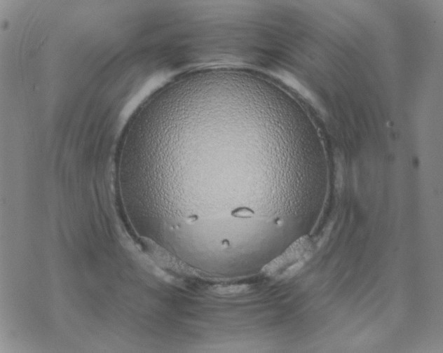 X0000070431325200606231908