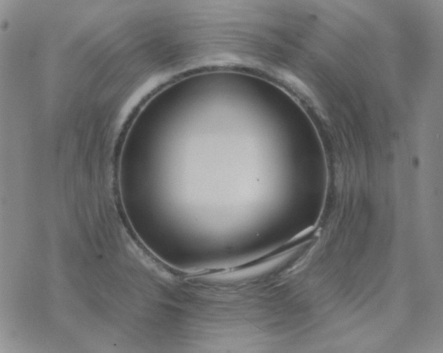 X0000070431326200606231908