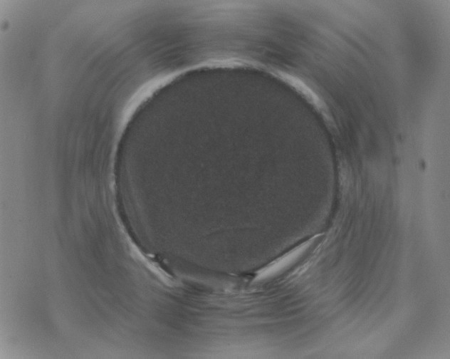 X0000070431327200606231908