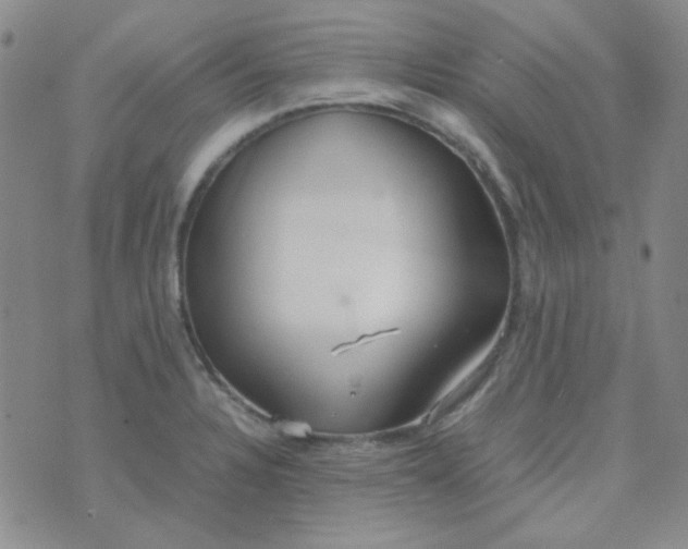 X0000070431328200606231908