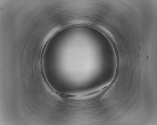 X0000070431330200606231908