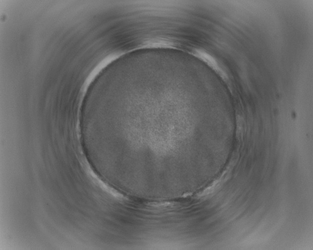 X0000070431331200606231908