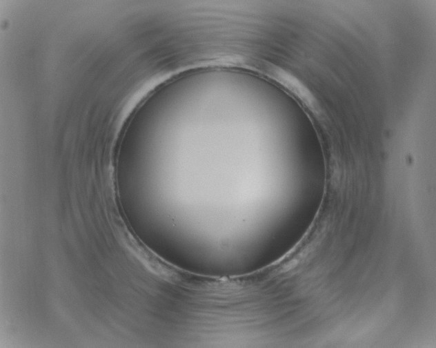 X0000070431332200606231908