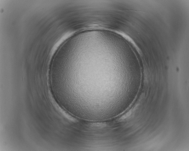 X0000070431333200606231908