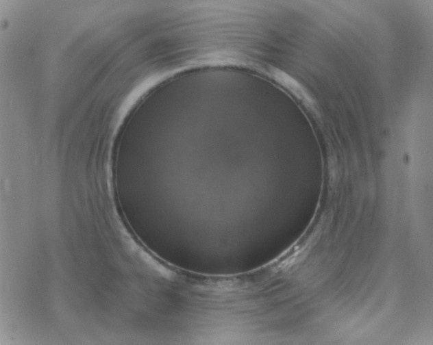 X0000070431334200606231908