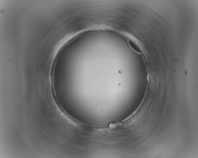 X0000070431335200606231908