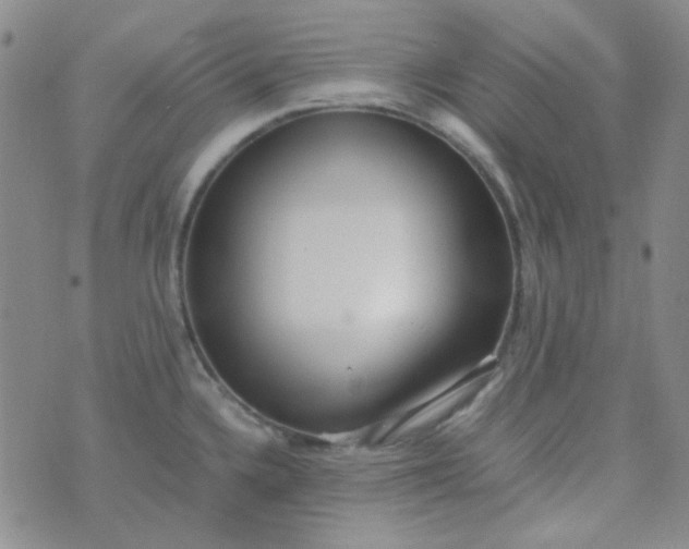 X0000070431336200606231908