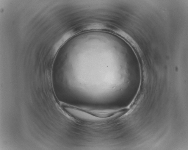 X0000070431337200606231908