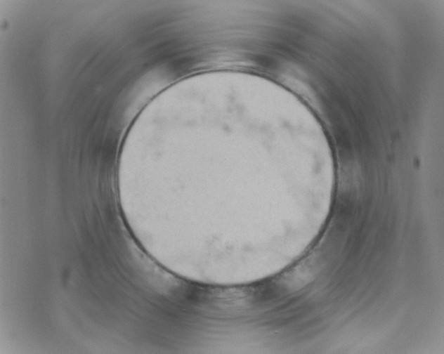 X0000070431338200606231908