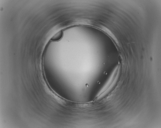 X0000070431339200606231908