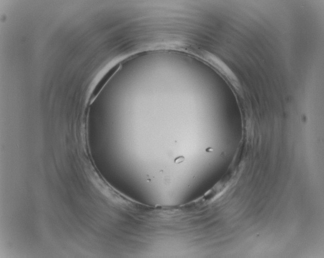 X0000070431340200606231908