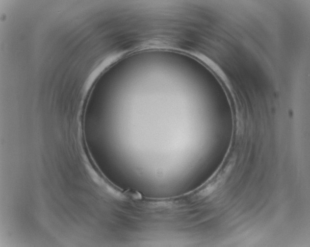 X0000070431341200606231908