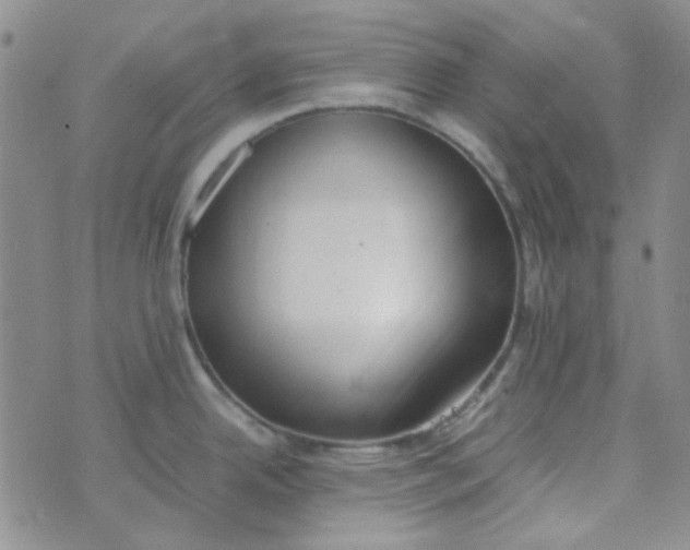 X0000070431342200606231908