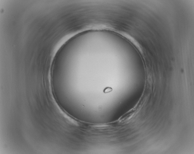 X0000070431343200606231908