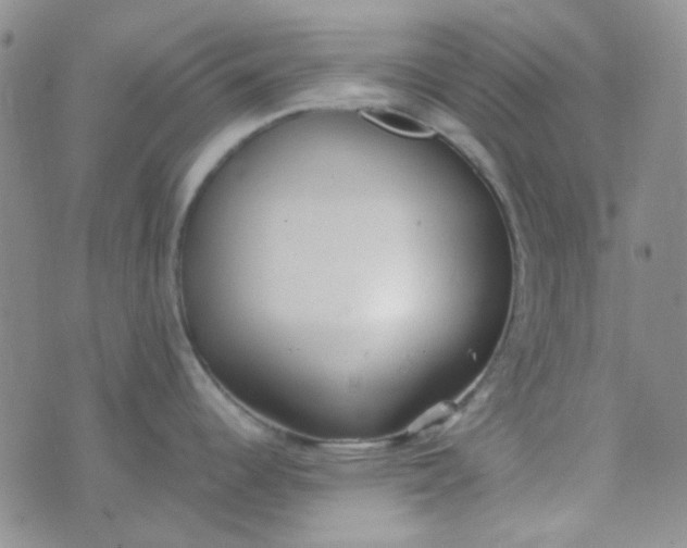 X0000070431344200606231908