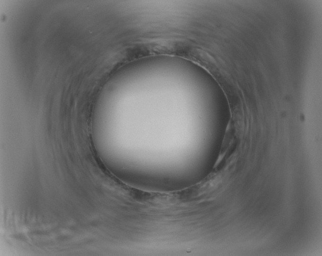 X0000070431345200606231908