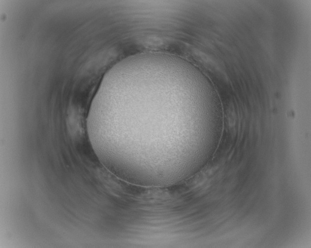 X0000070431346200606231908