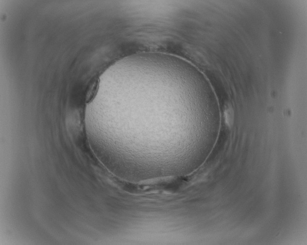 X0000070431347200606231908