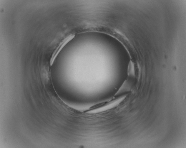 X0000070431348200606231908