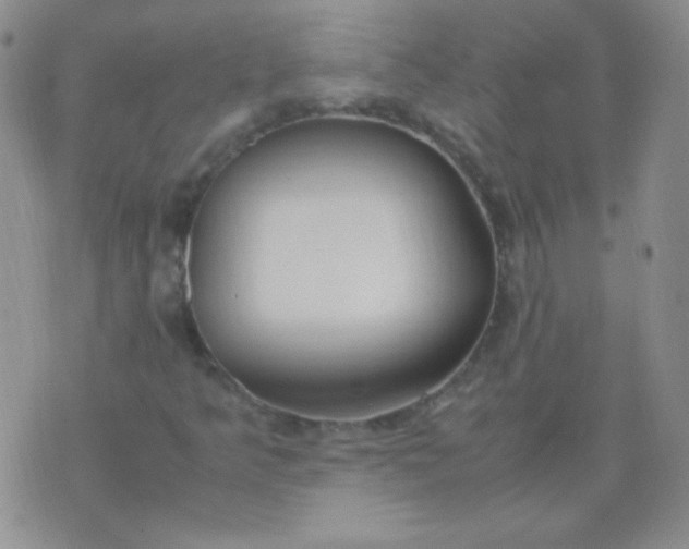 X0000070431349200606231908