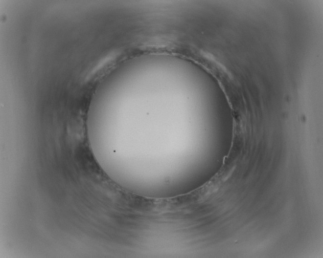 X0000070431350200606231908