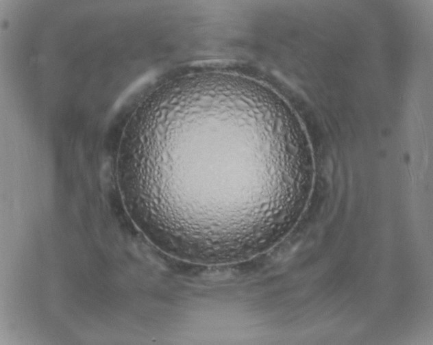 X0000070431351200606231908