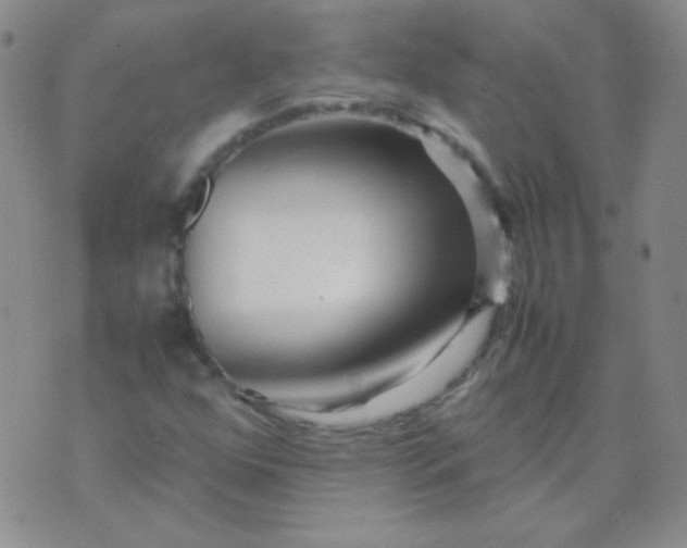 X0000070431352200606231907