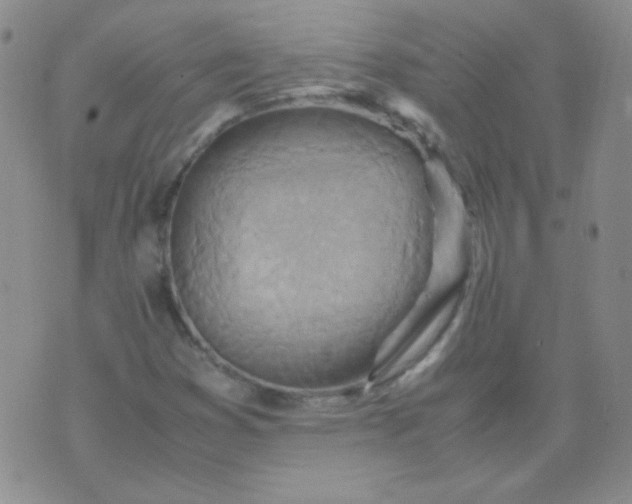 X0000070431353200606231907