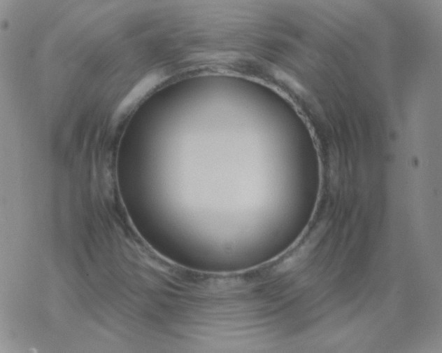 X0000070431354200606231907