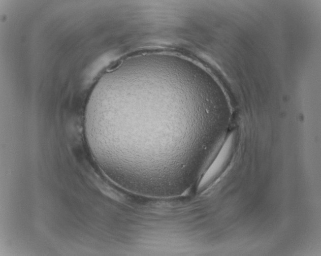 X0000070431355200606231907