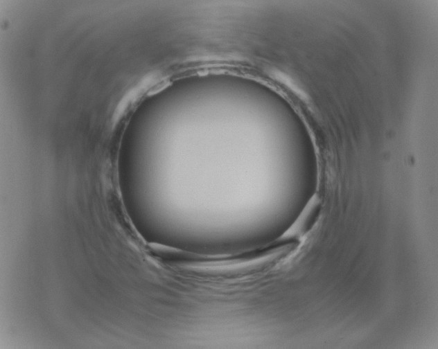 X0000070431357200606231907