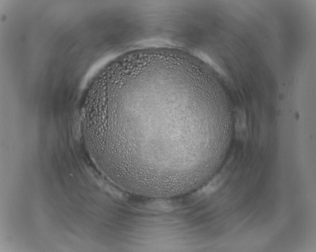 X0000070431358200606231907