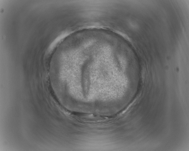 X0000070431359200606231907