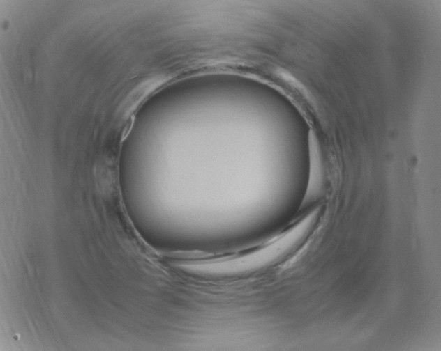 X0000070431361200606231907